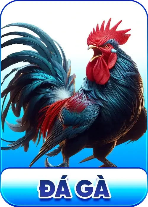 đá gà trực tuyến o8